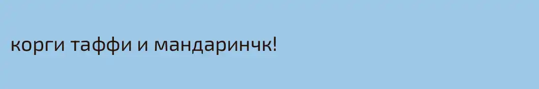 корги таффи и мандаринчк!